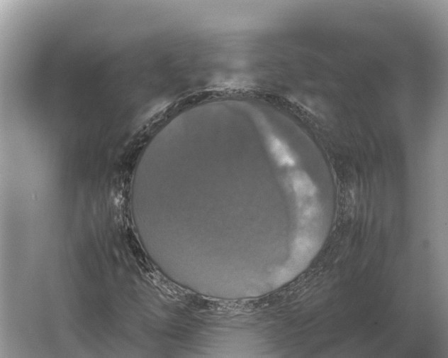 X0000064771254200602241940