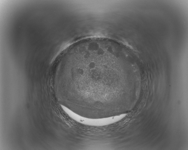 X0000064771255200602241940