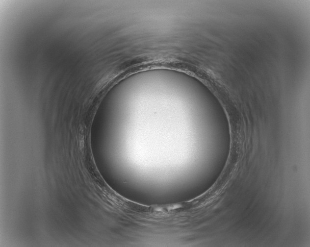 X0000064771257200602241940