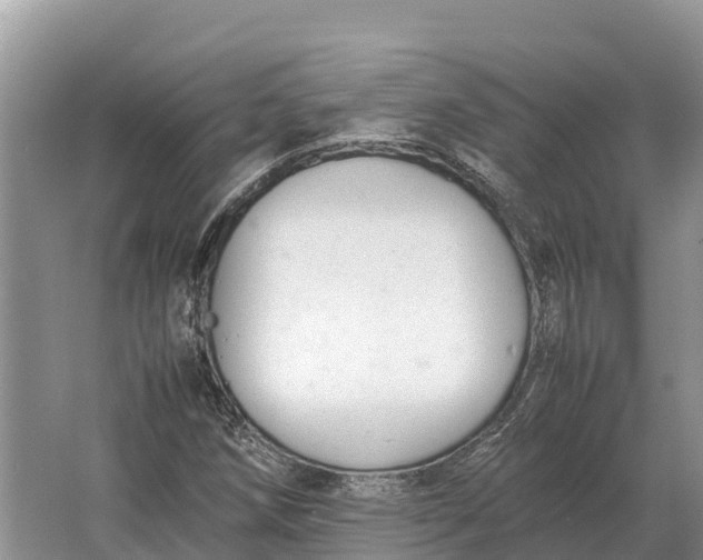 X0000064771258200602241940