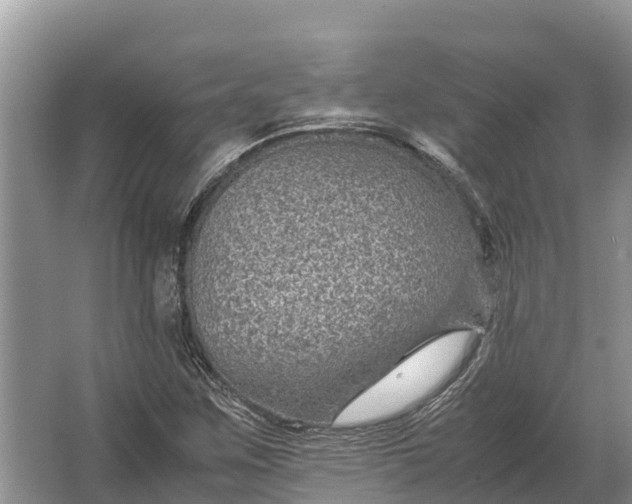 X0000064771259200602241940