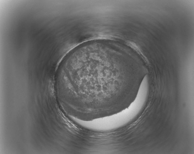 X0000064771260200602241940