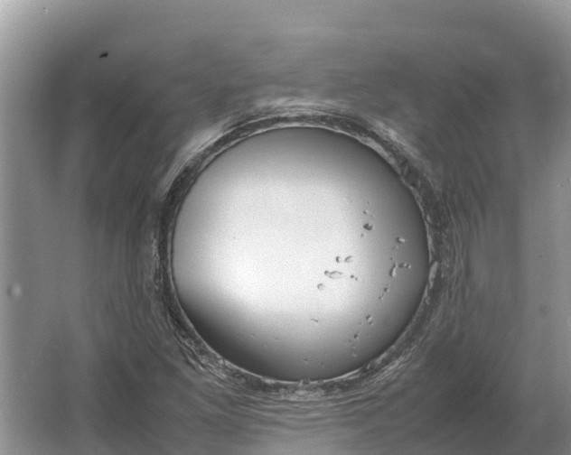 X0000064771261200602241940