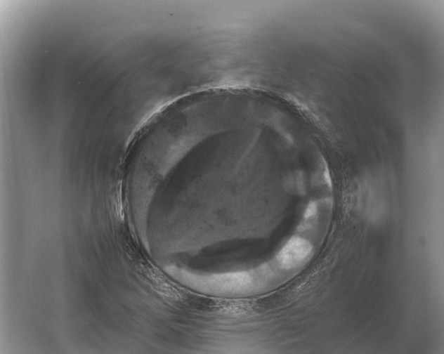 X0000064771262200602241940