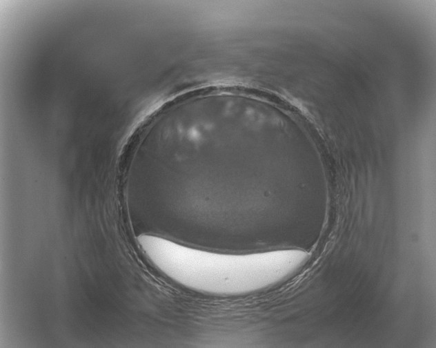 X0000064771263200602241940