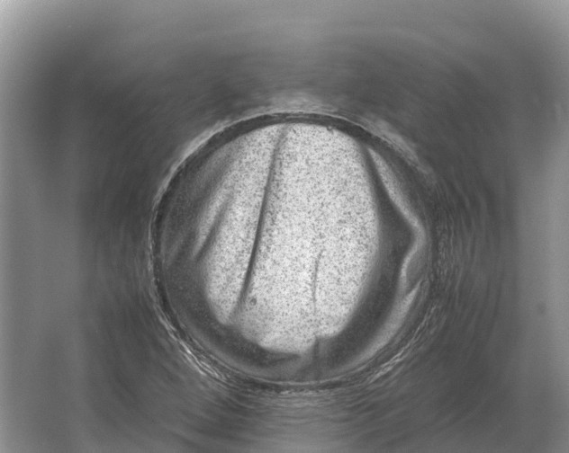 X0000064771264200602241940