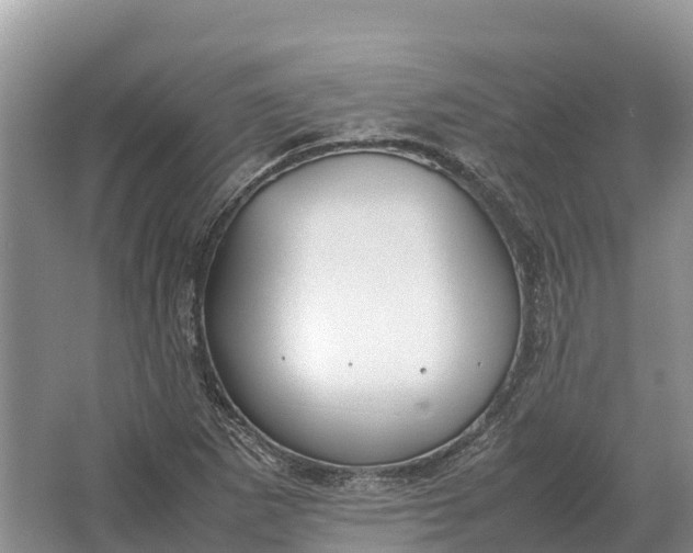 X0000064771265200602241940