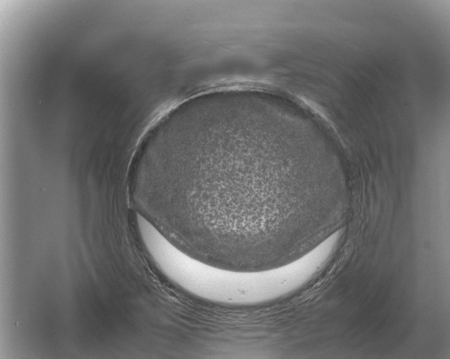 X0000064771267200602241940