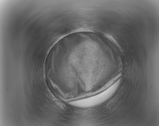 X0000064771268200602241940