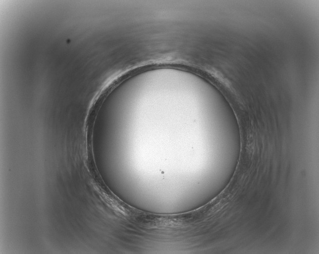 X0000064771270200602241940