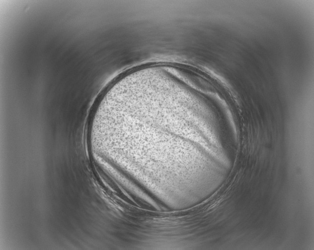 X0000064771272200602241940