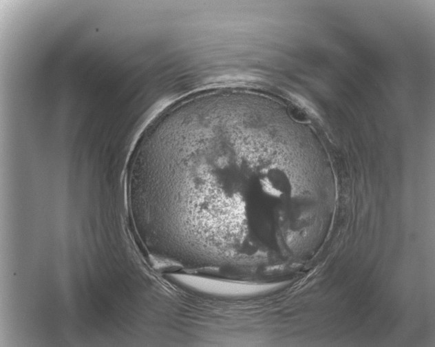 X0000064771275200602241939