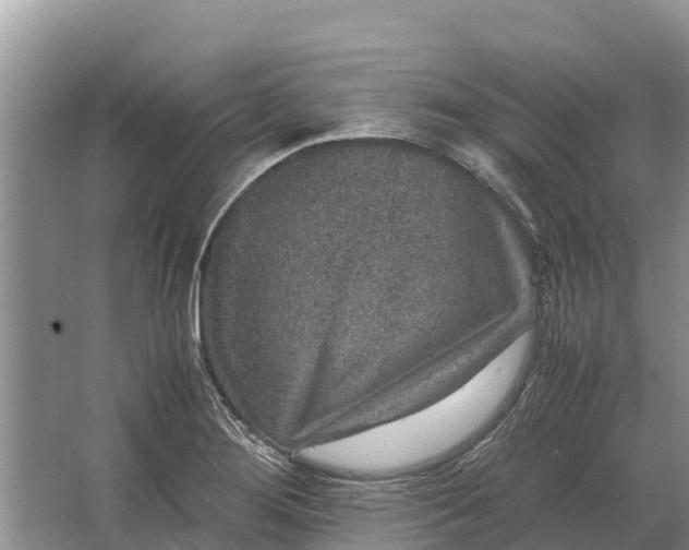 X0000064771276200602241939