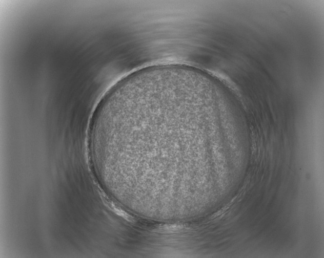 X0000064771278200602241939