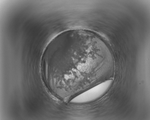 X0000064771279200602241939