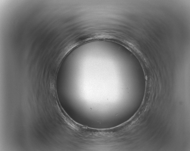 X0000064771281200602241939