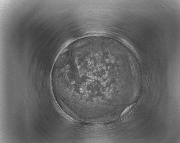 X0000064771283200602241939