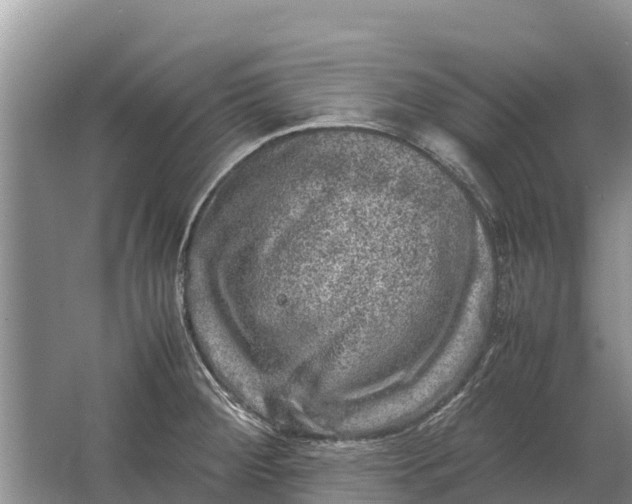 X0000064771284200602241939