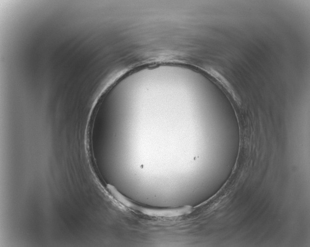 X0000064771285200602241939