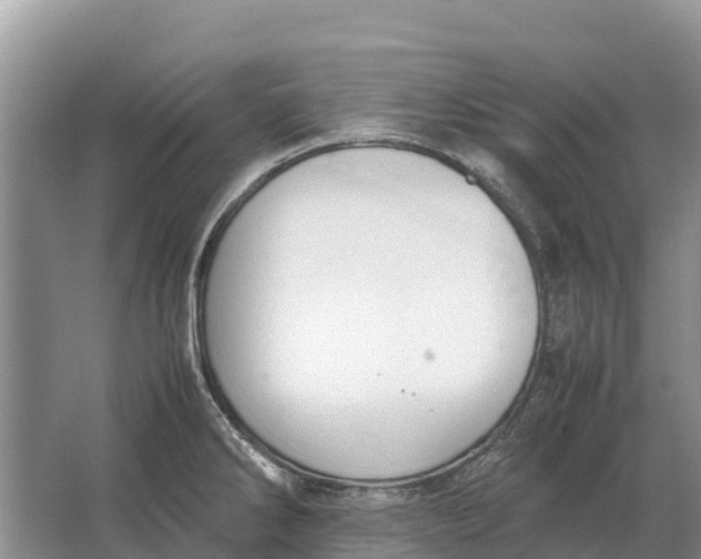 X0000064771286200602241939