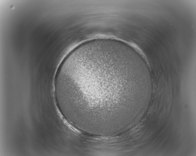 X0000064771287200602241939