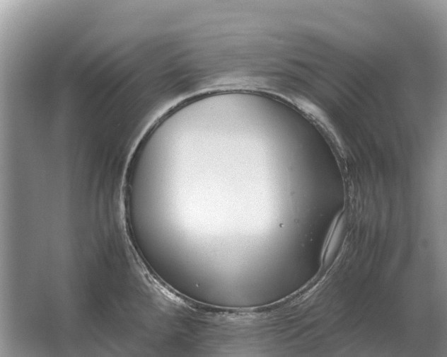 X0000064771288200602241939