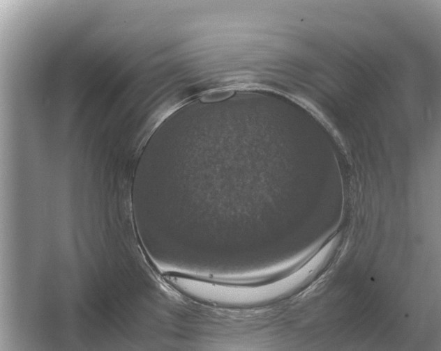 X0000064771289200602241939