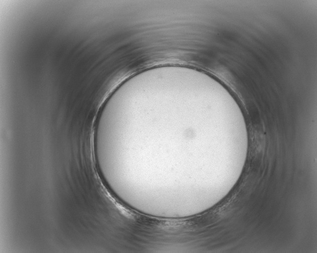 X0000064771290200602241939