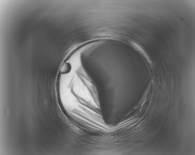 X0000064771291200602241939