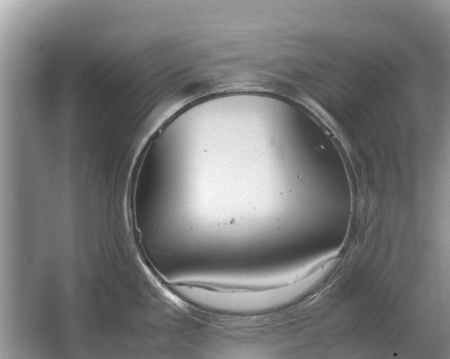 X0000064771293200602241939