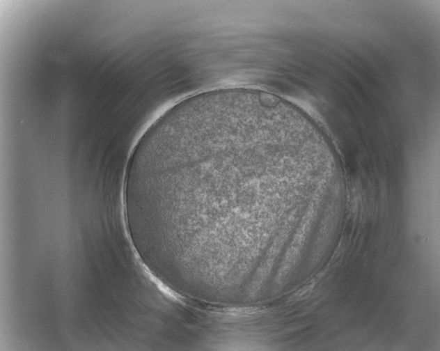 X0000064771294200602241939