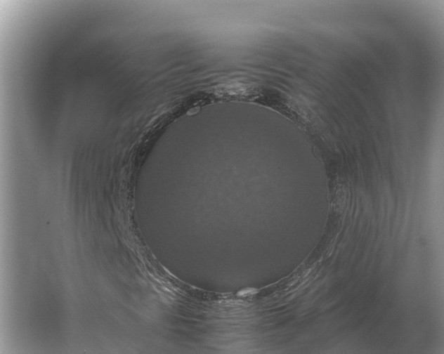 X0000064771297200602241938