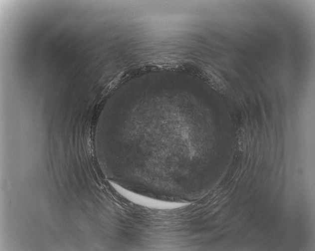 X0000064771298200602241938