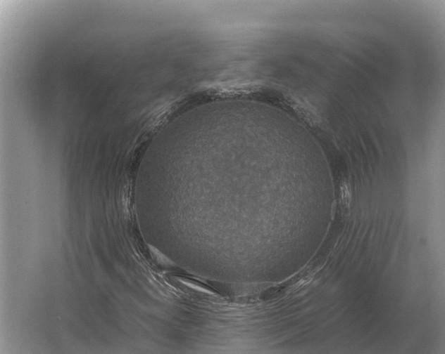 X0000064771300200602241938