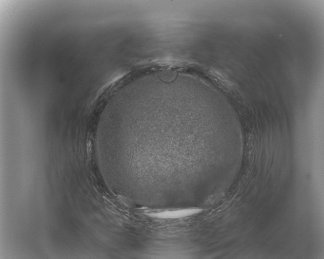 X0000064771302200602241938