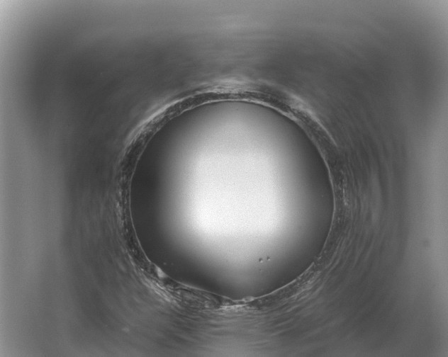 X0000064771304200602241938