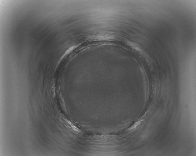 X0000064771306200602241938