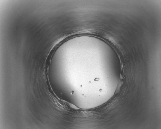 X0000064771308200602241938