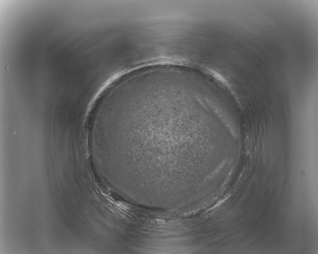 X0000064771310200602241938