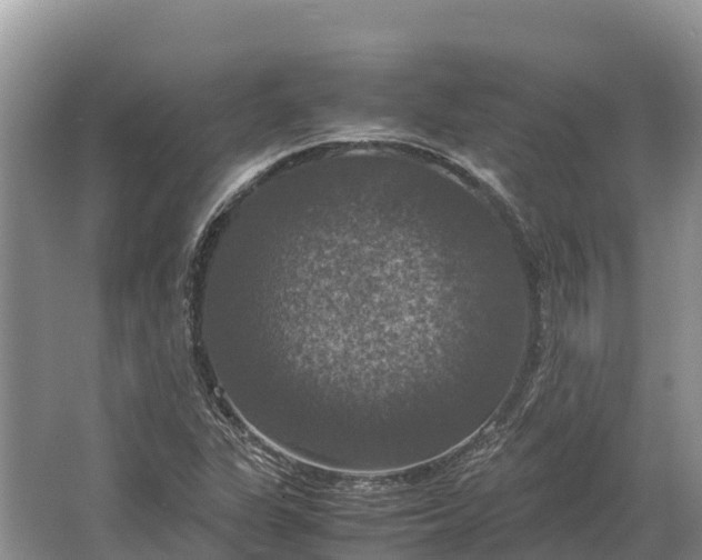 X0000064771311200602241938