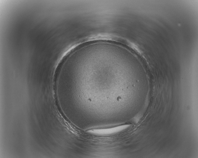 X0000064771312200602241938