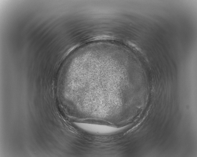 X0000064771313200602241938