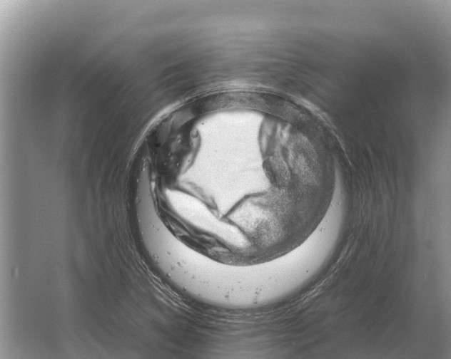 X0000064771314200602241938