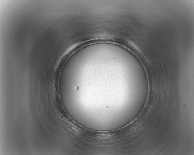 X0000064771315200602241938