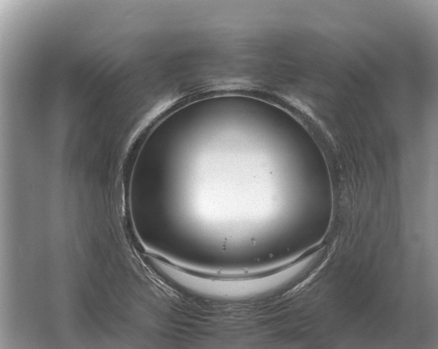 X0000064771317200602241938