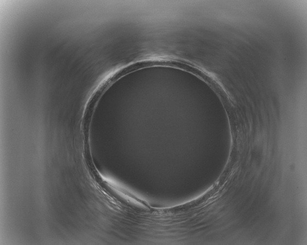 X0000064771319200602241938