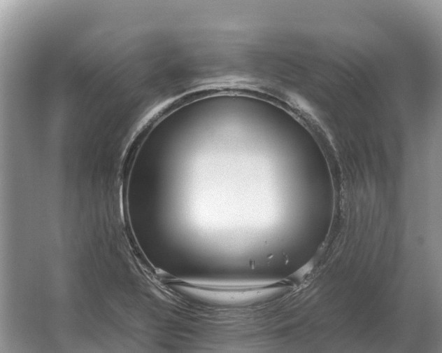 X0000064771320200602241938