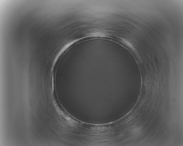 X0000064771323200602241938