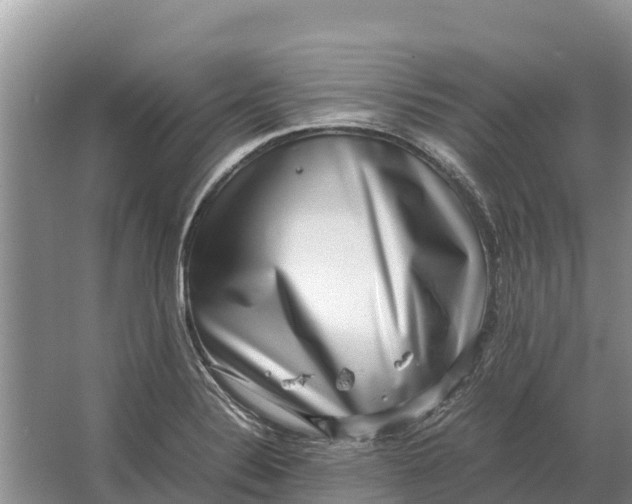 X0000064771324200602241938