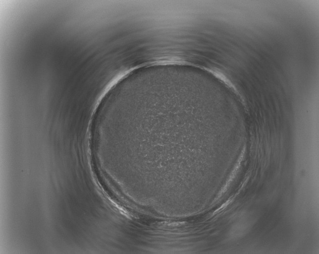 X0000064771325200602241938